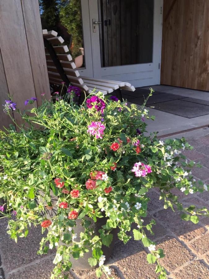Erve Toon'Boer Bed & Breakfast Mander Eksteriør bilde